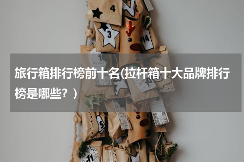 旅行箱排行榜前十名(拉杆箱十大品牌排行榜是哪些？)