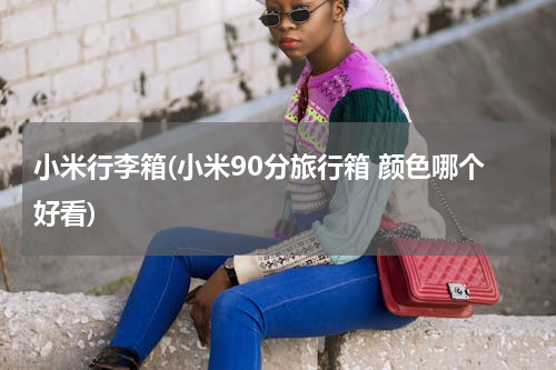 小米行李箱(小米90分旅行箱 颜色哪个好看)
