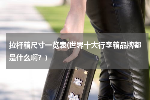 拉杆箱尺寸一览表(世界十大行李箱品牌都是什么啊？)