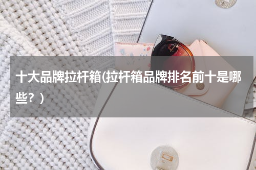 十大品牌拉杆箱(拉杆箱品牌排名前十是哪些？)