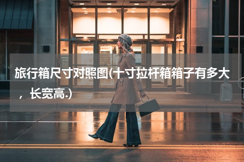 旅行箱尺寸对照图(十寸拉杆箱箱子有多大 ，长宽高.)
