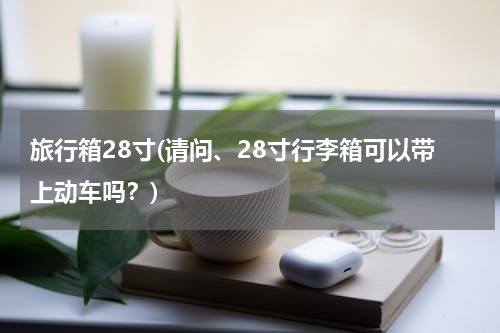 旅行箱28寸(请问、28寸行李箱可以带上动车吗？)