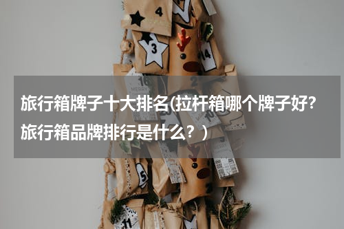 旅行箱牌子十大排名(拉杆箱哪个牌子好？旅行箱品牌排行是什么？)