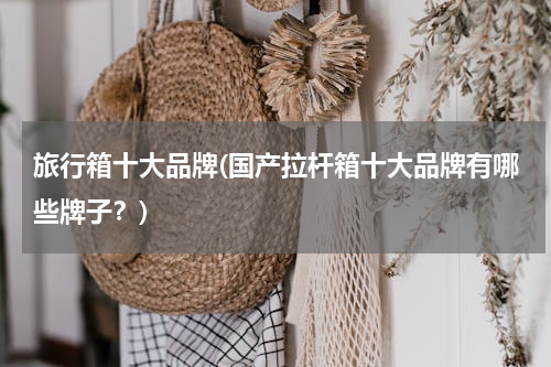 旅行箱十大品牌(国产拉杆箱十大品牌有哪些牌子？)