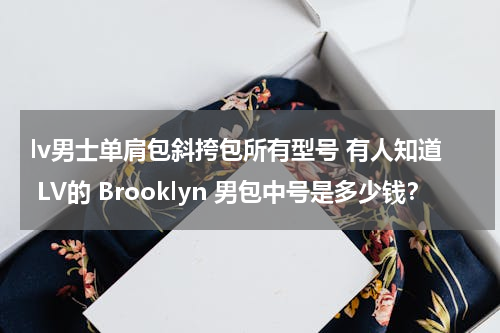lv男士单肩包斜挎包所有型号 有人知道 LV的 Brooklyn 男包中号是多少钱？