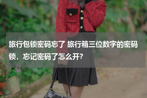 旅行包锁密码忘了 旅行箱三位数字的密码锁，忘记密码了怎么开？