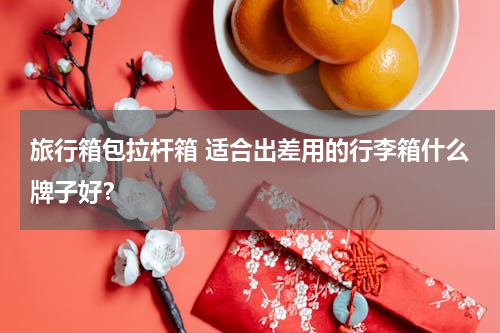 旅行箱包拉杆箱 适合出差用的行李箱什么牌子好？