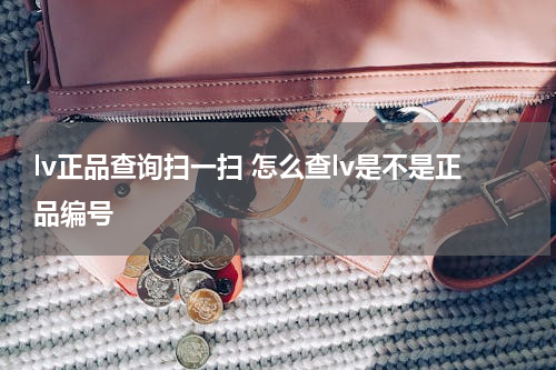 lv正品查询扫一扫 怎么查lv是不是正品编号