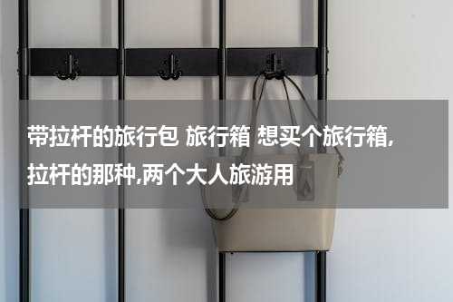 带拉杆的旅行包 旅行箱 想买个旅行箱,拉杆的那种,两个大人旅游用