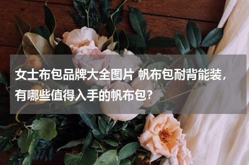女士布包品牌大全图片 帆布包耐背能装，有哪些值得入手的帆布包？