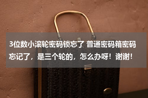 3位数小滚轮密码锁忘了 普通密码箱密码忘记了，是三个轮的，怎么办呀！谢谢！