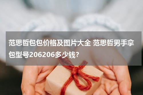 范思哲包包价格及图片大全 范思哲男手拿包型号206206多少钱？