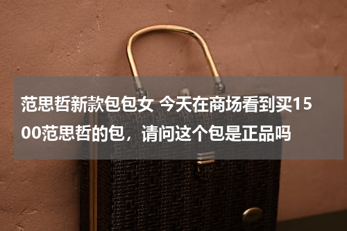 范思哲新款包包女 今天在商场看到买1500范思哲的包，请问这个包是正品吗