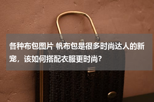 各种布包图片 帆布包是很多时尚达人的新宠，该如何搭配衣服更时尚？