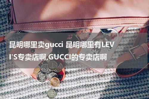 昆明哪里卖gucci 昆明哪里有LEVI'S专卖店啊,GUCCI的专卖店啊