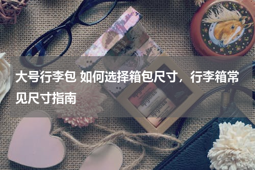 大号行李包 如何选择箱包尺寸，行李箱常见尺寸指南