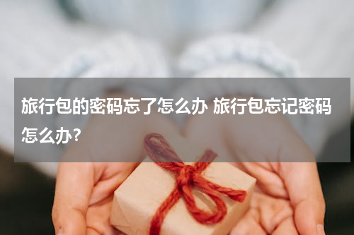 旅行包的密码忘了怎么办 旅行包忘记密码怎么办？