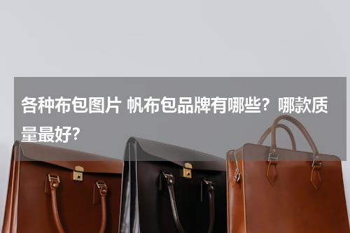 各种布包图片 帆布包品牌有哪些？哪款质量最好？