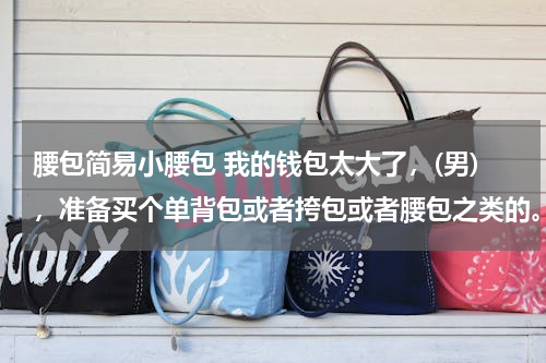 腰包简易小腰包 我的钱包太大了，(男)，准备买个单背包或者挎包或者腰包之类的。买哪种好？我个头不高。