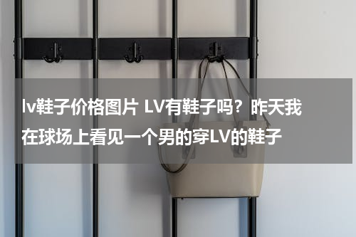 lv鞋子价格图片 LV有鞋子吗？昨天我在球场上看见一个男的穿LV的鞋子