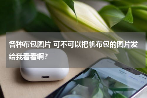 各种布包图片 可不可以把帆布包的图片发给我看看啊？