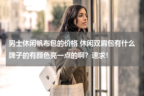 男士休闲帆布包的价格 休闲双肩包有什么牌子的有颜色亮一点的啊？速求！