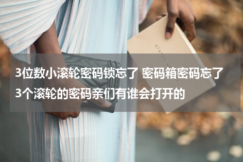 3位数小滚轮密码锁忘了 密码箱密码忘了3个滚轮的密码亲们有谁会打开的