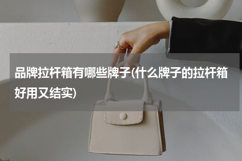 品牌拉杆箱有哪些牌子(什么牌子的拉杆箱好用又结实)