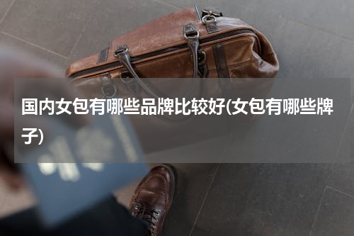 国内女包有哪些品牌比较好(女包有哪些牌子)