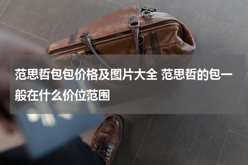 范思哲包包价格及图片大全 范思哲的包一般在什么价位范围