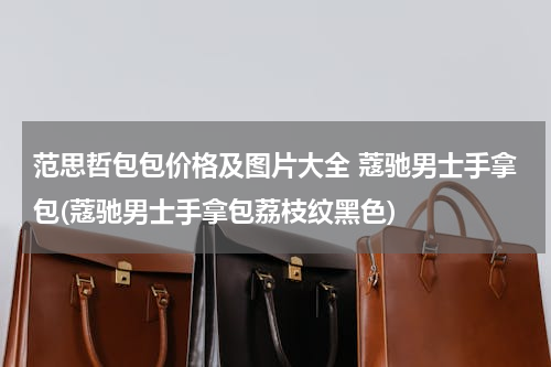 范思哲包包价格及图片大全 蔻驰男士手拿包(蔻驰男士手拿包荔枝纹黑色)