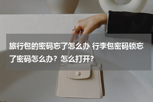 旅行包的密码忘了怎么办 行李包密码锁忘了密码怎么办？怎么打开？