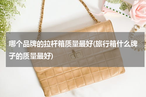 哪个品牌的拉杆箱质量最好(旅行箱什么牌子的质量最好)