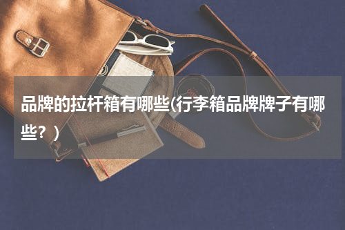 品牌的拉杆箱有哪些(行李箱品牌牌子有哪些？)