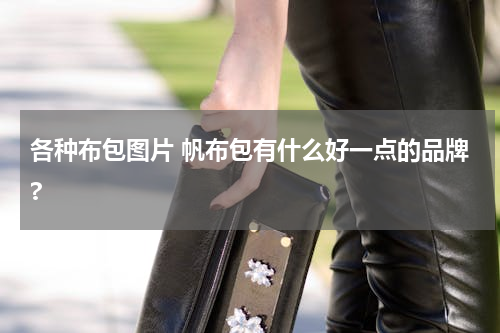 各种布包图片 帆布包有什么好一点的品牌?