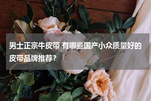 男士正宗牛皮带 有哪些国产小众质量好的皮带品牌推荐？