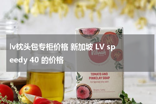 lv枕头包专柜价格 新加坡 LV speedy 40 的价格
