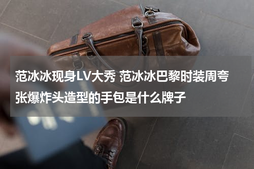 范冰冰现身LV大秀 范冰冰巴黎时装周夸张爆炸头造型的手包是什么牌子