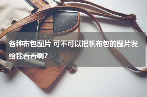 各种布包图片 可不可以把帆布包的图片发给我看看啊？