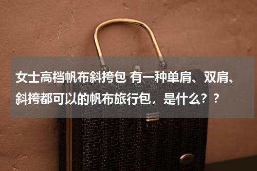 女士高档帆布斜挎包 有一种单肩、双肩、斜挎都可以的帆布旅行包，是什么？？