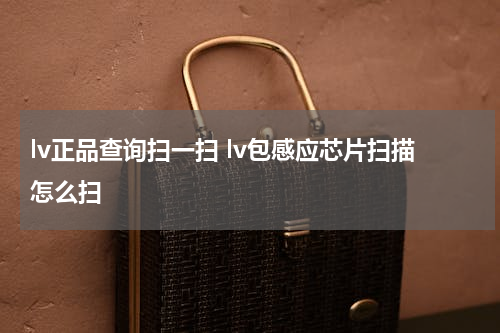 lv正品查询扫一扫 lv包感应芯片扫描怎么扫