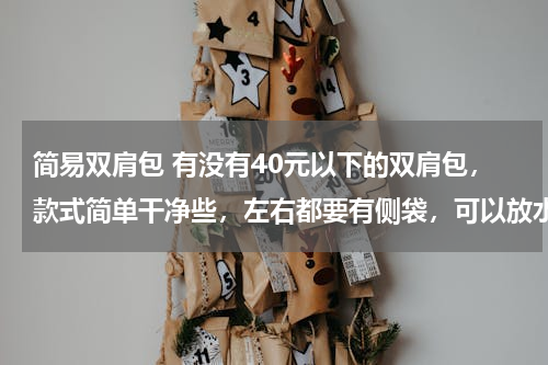 简易双肩包 有没有40元以下的双肩包，款式简单干净些，左右都要有侧袋，可以放水壶和折伞，女生用的