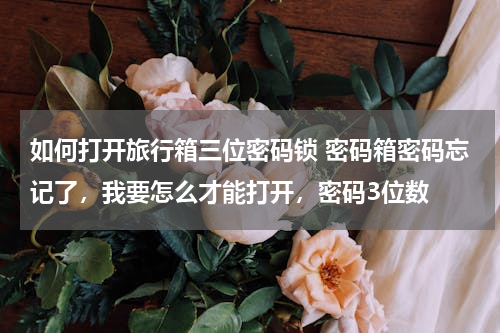 如何打开旅行箱三位密码锁 密码箱密码忘记了，我要怎么才能打开，密码3位数