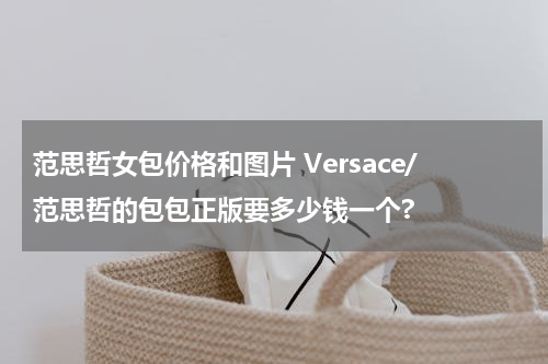 范思哲女包价格和图片 Versace/范思哲的包包正版要多少钱一个?