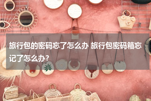 旅行包的密码忘了怎么办 旅行包密码箱忘记了怎么办？