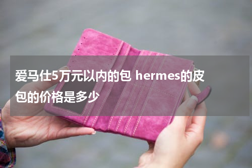 爱马仕5万元以内的包 hermes的皮包的价格是多少