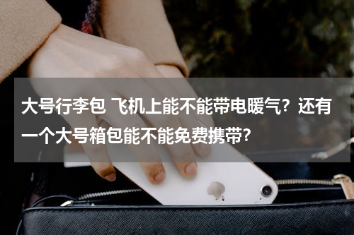 大号行李包 飞机上能不能带电暖气？还有一个大号箱包能不能免费携带？