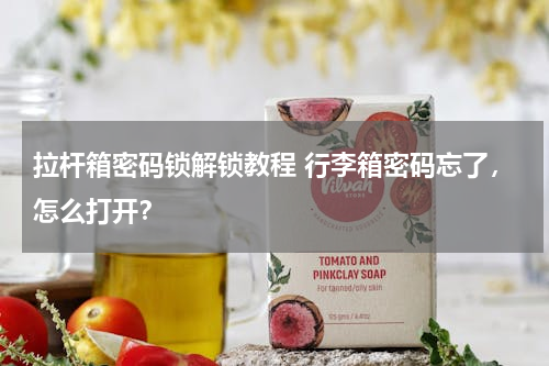 拉杆箱密码锁解锁教程 行李箱密码忘了，怎么打开？