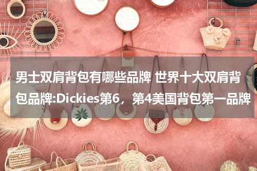 男士双肩背包有哪些品牌 世界十大双肩背包品牌:Dickies第6，第4美国背包第一品牌