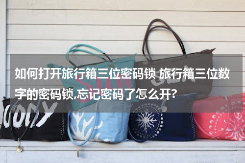 如何打开旅行箱三位密码锁 旅行箱三位数字的密码锁,忘记密码了怎么开?